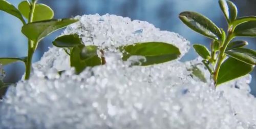 元宵灯谜会:猜中国地名 .冰雪融化—— 2.日近黄昏—— 3.圆规划鸡蛋—— 4.荧火虫—— 5