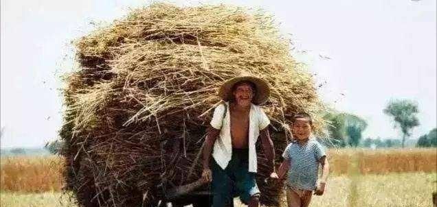 特殊人群是指哪些人群,不是贫困户、不是低保户的普通农户能享受哪些政策优惠?图6