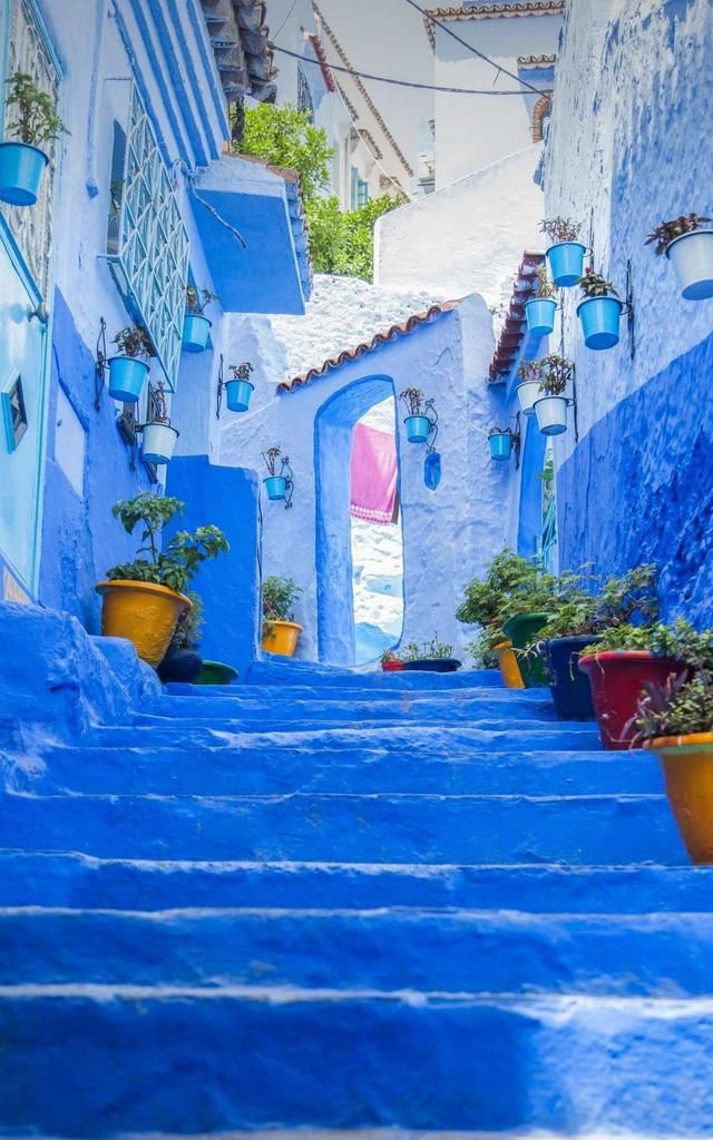 有哪些治愈人心的正能量短句子,治愈人心的正能量句子图11