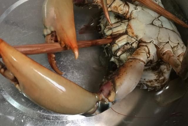 青蟹的做法,清炒青蟹的做法?图5