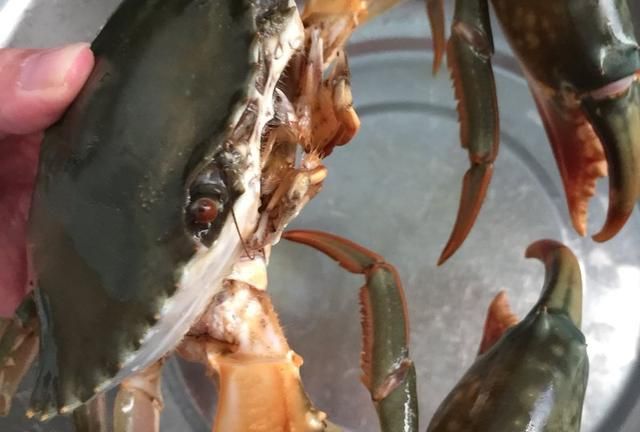 青蟹的做法,清炒青蟹的做法?图4