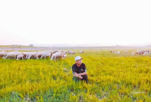 什么是黄昏恋,很多老年人为什么喜欢黄昏恋?图9