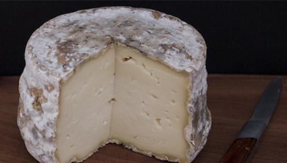 干酪,乳酪,奶酪,芝士,优酪乳,到底有什么区别