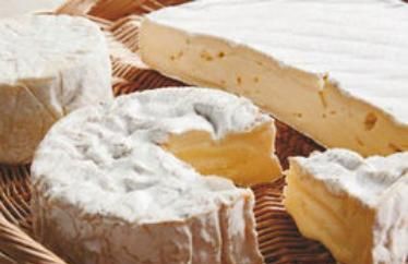 乳酪与芝士有什么区别,干酪,乳酪,奶酪,芝士,优酪乳,到底有什么区别?图7