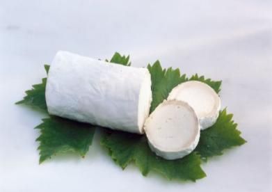 乳酪与芝士有什么区别,干酪,乳酪,奶酪,芝士,优酪乳,到底有什么区别?图10