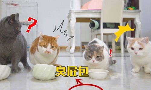 臭包是什么味道