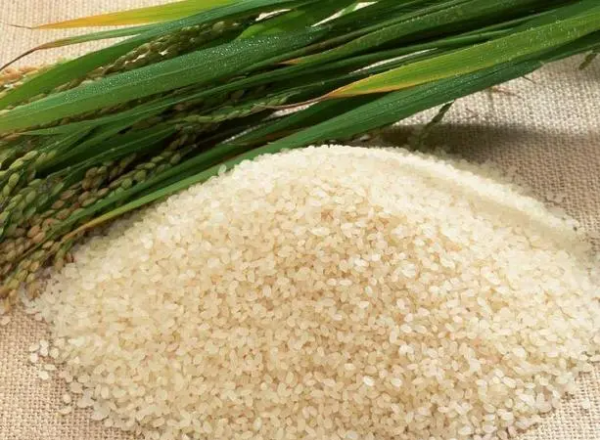 米有过期的说法,米多久会过期图2