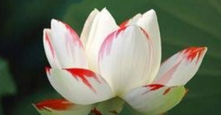 孝顺父母的经典句子,不孝顺老人的经典句子图2