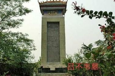 嬴政是谁的儿子,嬴政是嬴稷第几个儿子?图4