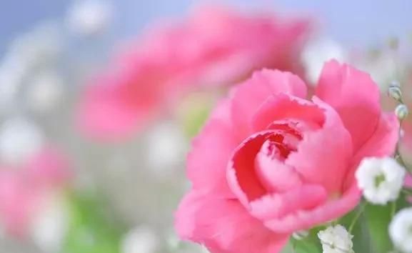 在人的五官中哪个器官最怕冷,人体衰老前什么器官最敏感?是从关节软骨最先开始的吗?图7