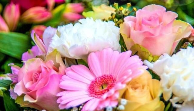 在人的五官中哪个器官最怕冷,人体衰老前什么器官最敏感?是从关节软骨最先开始的吗?图10