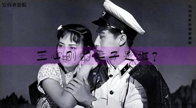 王心刚的妻子是谁?杨绍采老公王心刚资料