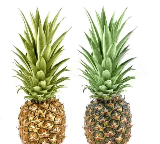 凤梨是菠萝吗,凤梨不是菠萝吗?图13