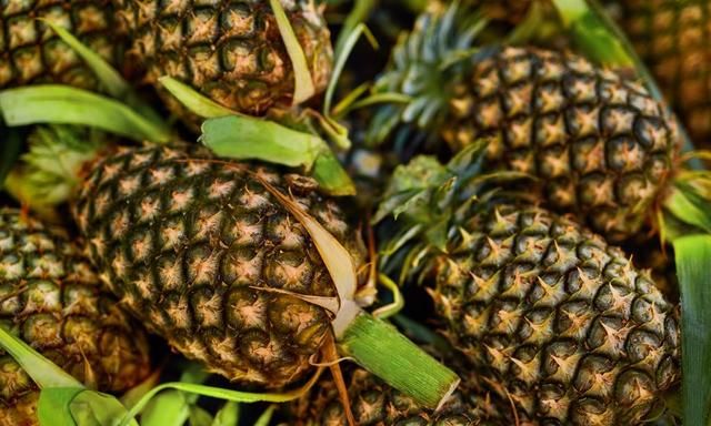 凤梨是菠萝吗,凤梨不是菠萝吗?图10