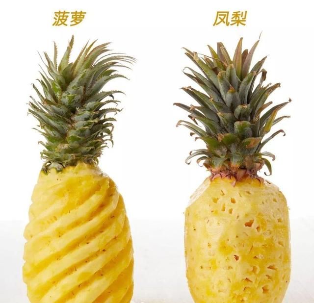 凤梨是菠萝吗,凤梨不是菠萝吗?图12