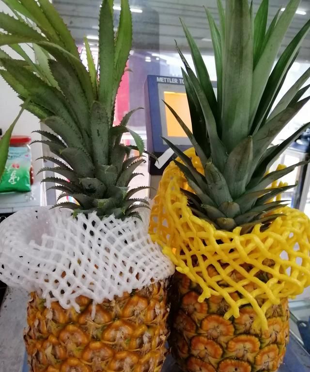 凤梨是菠萝吗,凤梨不是菠萝吗?图3