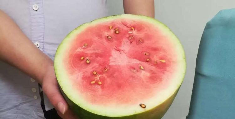 西瓜没有熟透可以吃吗