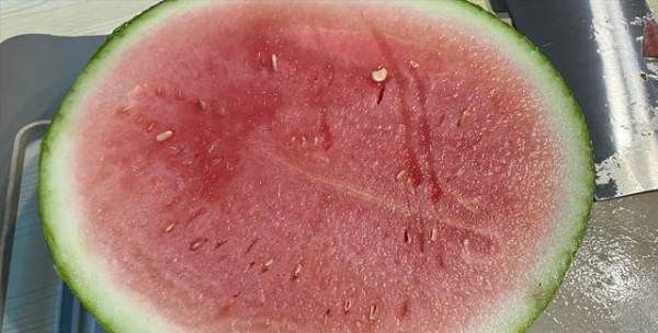 没熟的西瓜可以吃,没熟的西瓜能不能吃?图3