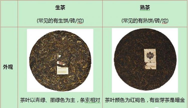 生茶和熟茶的区别