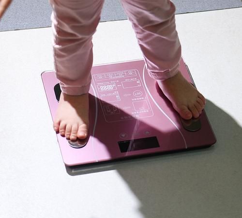 体脂秤和体重秤的区别