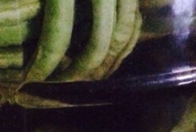 怎样泡酸豆角好吃,醋泡酸豆角的做法大全图6