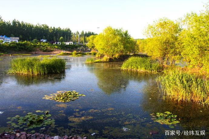 莒南县属于哪个市(山东莒南县属于哪个市)