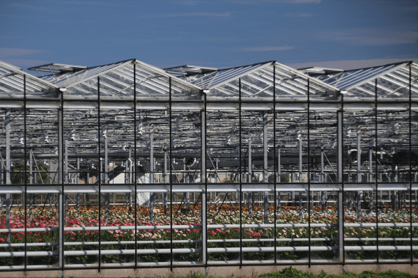 温带海洋性气候特点(温带海洋性气候分布)