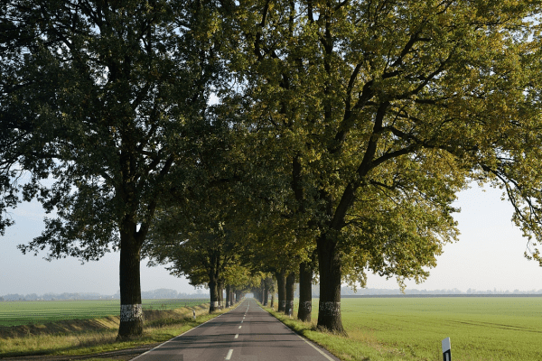 温带海洋性气候特点(温带海洋性气候分布)