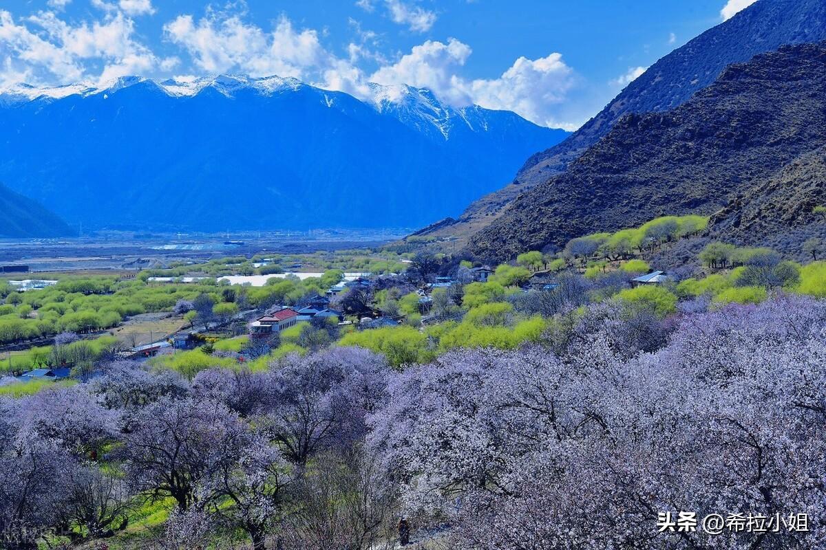 林芝有什么好玩的景点(西藏林芝旅游景点有哪些)