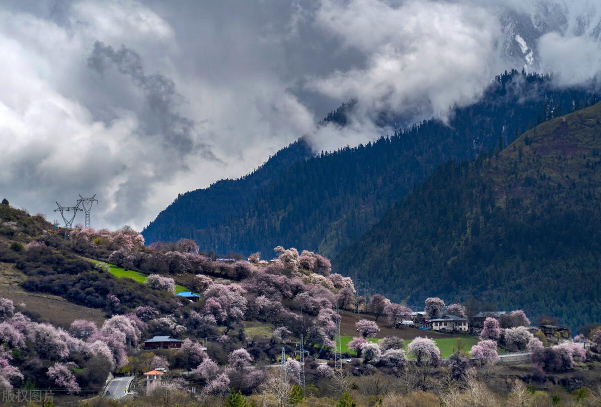 林芝有什么好玩的景点(西藏林芝旅游景点有哪些)