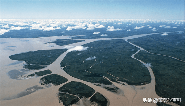 世界上最长的河流(世界十大最长河流)