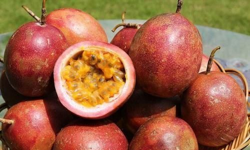 百香果瘪了还能吃吗,百香果怎么储存,能放多长时间?图1