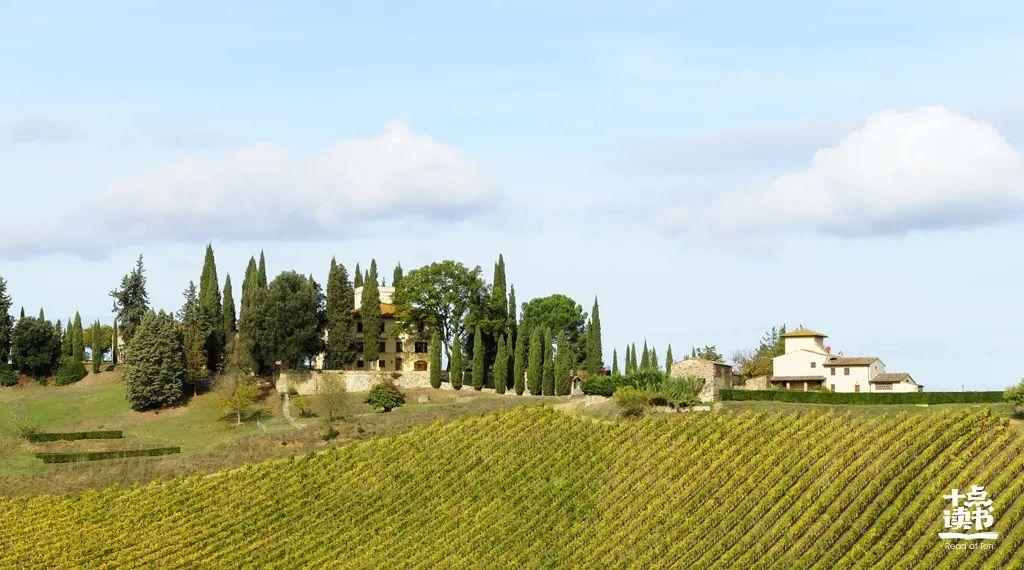 萧红的简介及个人资料呼兰河传(萧红《呼兰河传》:从苦难的土壤中,开出不死的花朵)