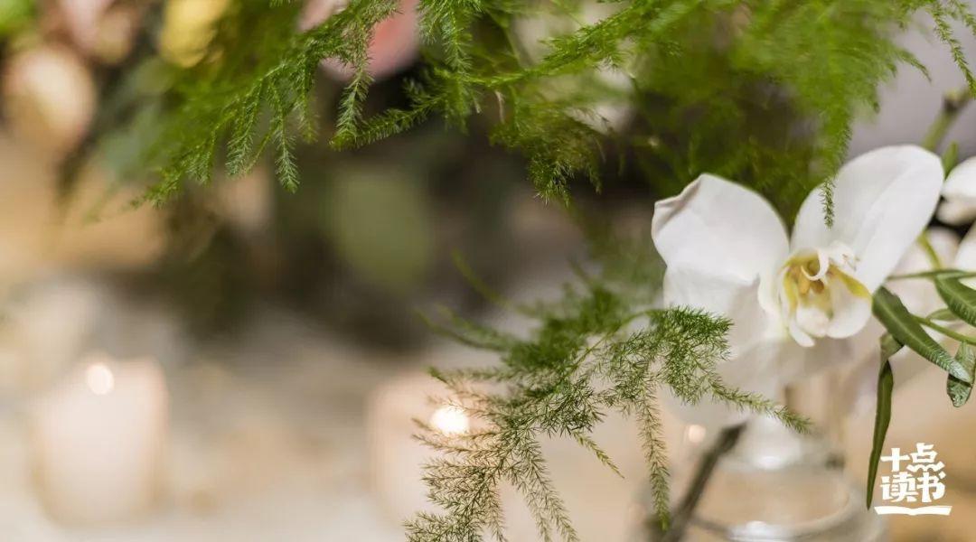 萧红的简介及个人资料呼兰河传(萧红《呼兰河传》:从苦难的土壤中,开出不死的花朵)