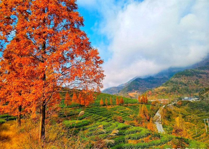 保康县属于哪个市(湖北保康县属于哪个市)