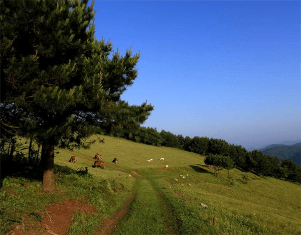 保康县属于哪个市(湖北保康县属于哪个市)