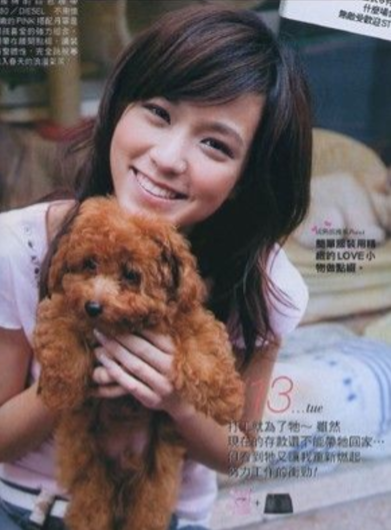 赵又廷个人资料及简历剧照(5任女友全是绝色美人,又娶大5岁国民女神,赵又廷到底有何魅力?)