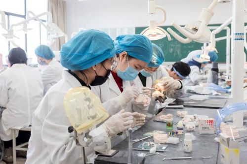 口腔医学技术是学什么的,毕业后干什么工作?口腔医学技术是学什么的专科-第1张图片-