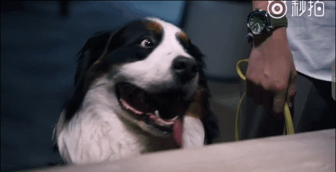 刘烨林依晨雷佳音《老男孩》将播，演技派的对决，好剧值得期待！