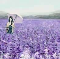 和田玉的八大功效(和田玉的功效与作用)