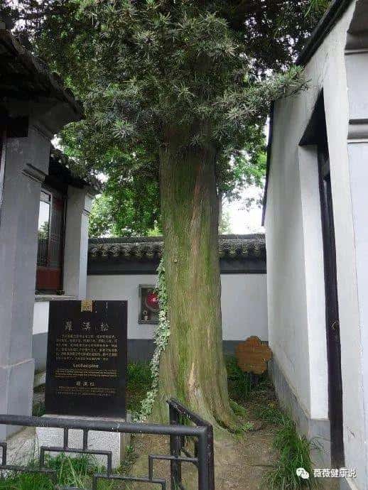 徐霞客游记中的徐霞客是哪个朝代(徐霞客是哪个朝代的人)