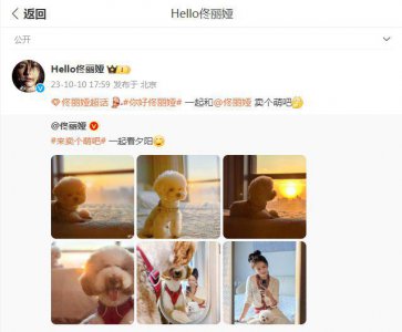 ​佟丽娅分享自拍照甜笑，与狗狗互动被赞人美心善