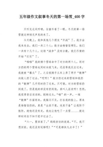 作文第一场雪300字(作文第一场雪500字)-第1张图片-