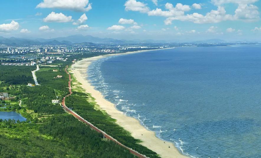 茂名市有多少人口(茂名市各区县人口排名)