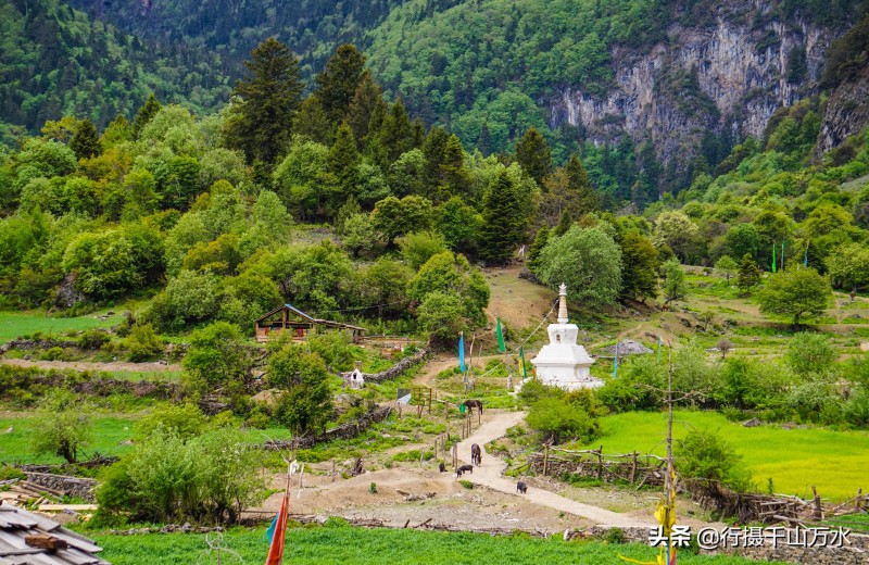 梅里雪山在哪里(梅里雪山有人登顶吗)