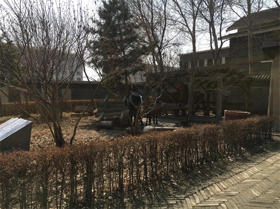 中国现代文学史上最具有影响力的女作家——萧红个人简介