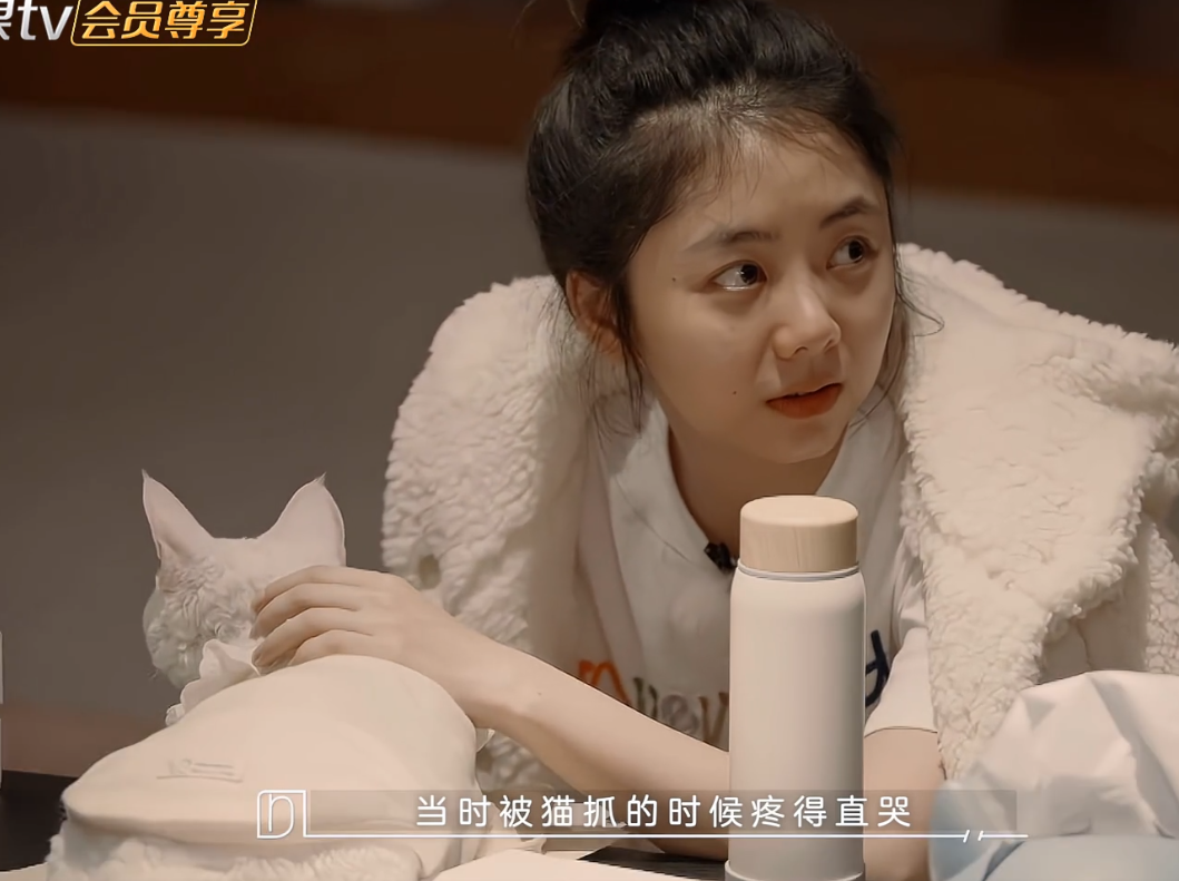 谭松韵素颜比谢娜美，自曝曾被猫抓疼得大哭，还去打了狂犬疫苗