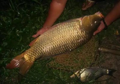 ​晚春夜钓几点来口（晚上钓鱼的最佳时间是什么时候）