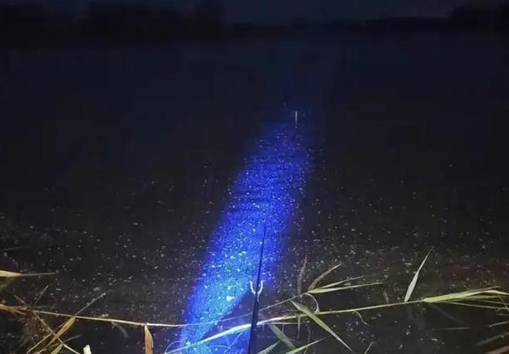 晚春夜钓几点来口(晚上钓鱼的最佳时间是什么时候)