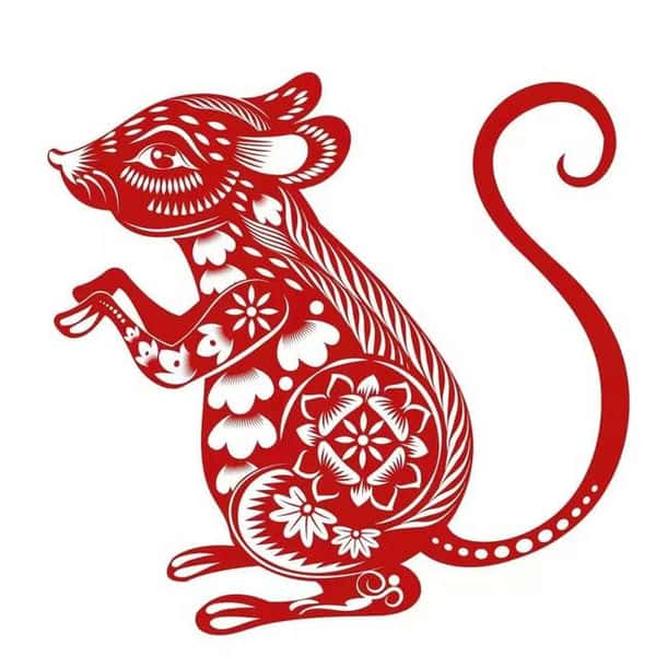 有主见有思想的人(有主见不肯低头的生肖是什么)